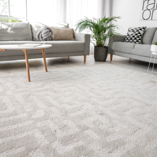 Carpet Cleaning in Atlanta