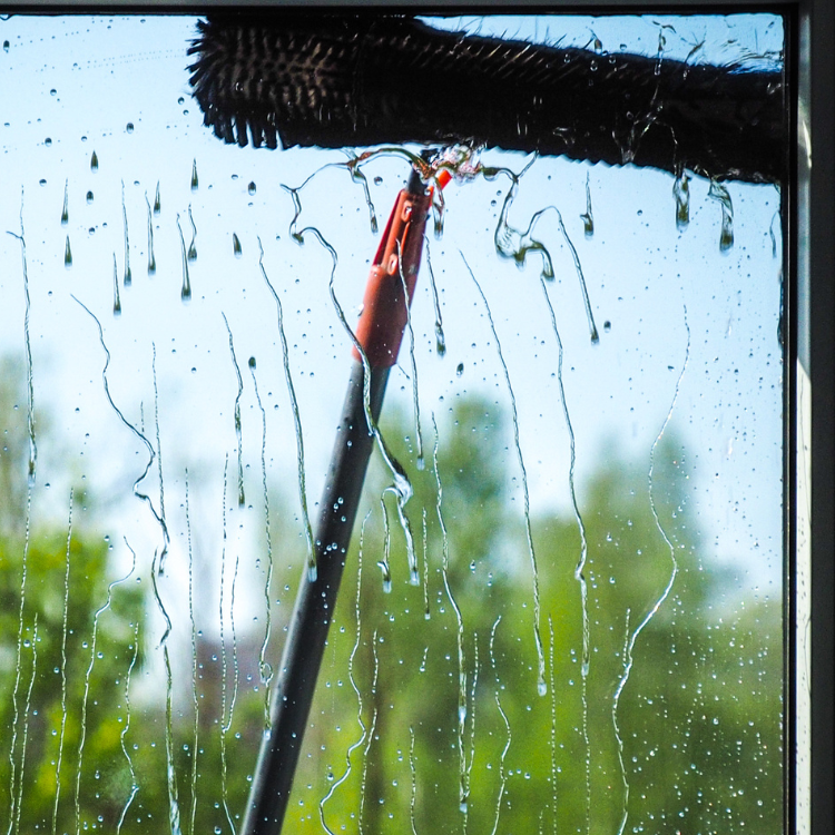 Window Cleaning